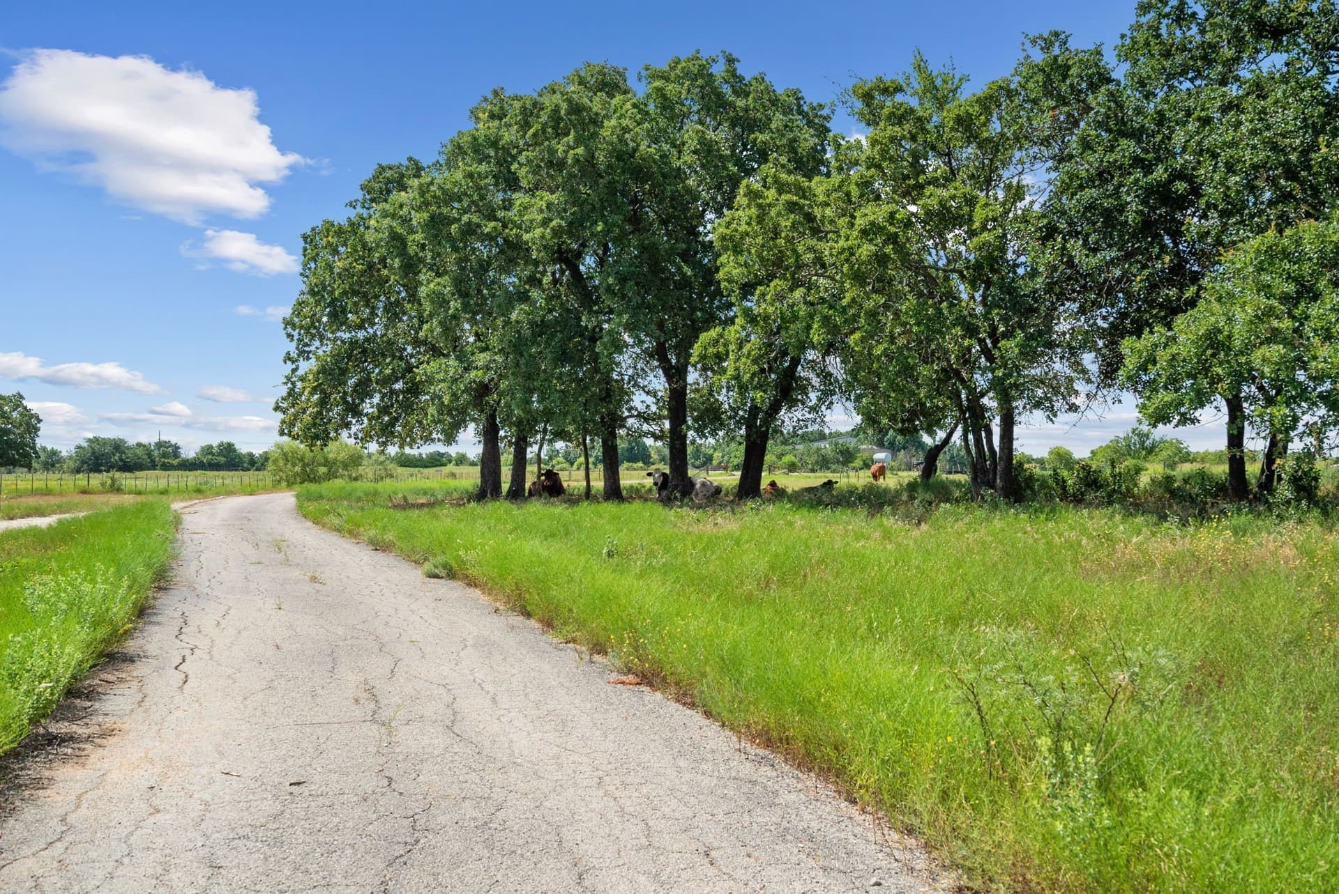 162.56 acres in Erath County - photo 40