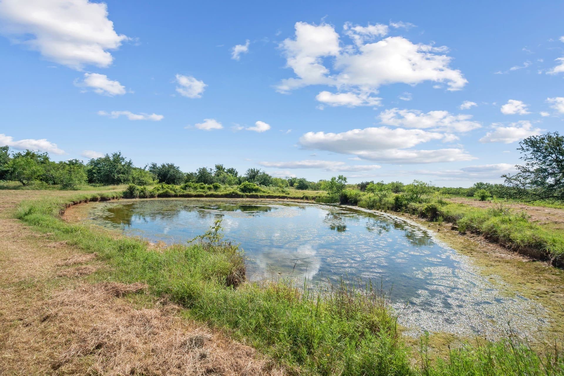 162.56 acres in Erath County - photo 39