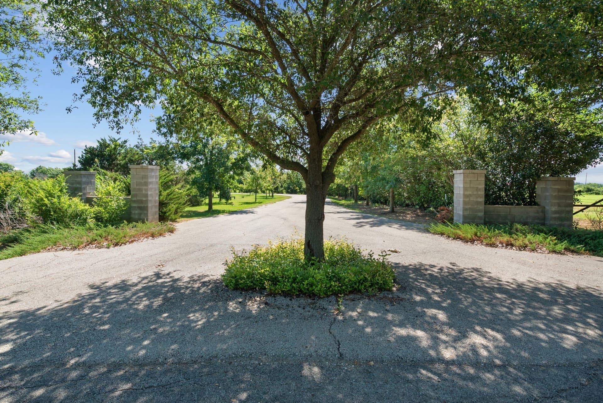 162.56 acres in Erath County - photo 9