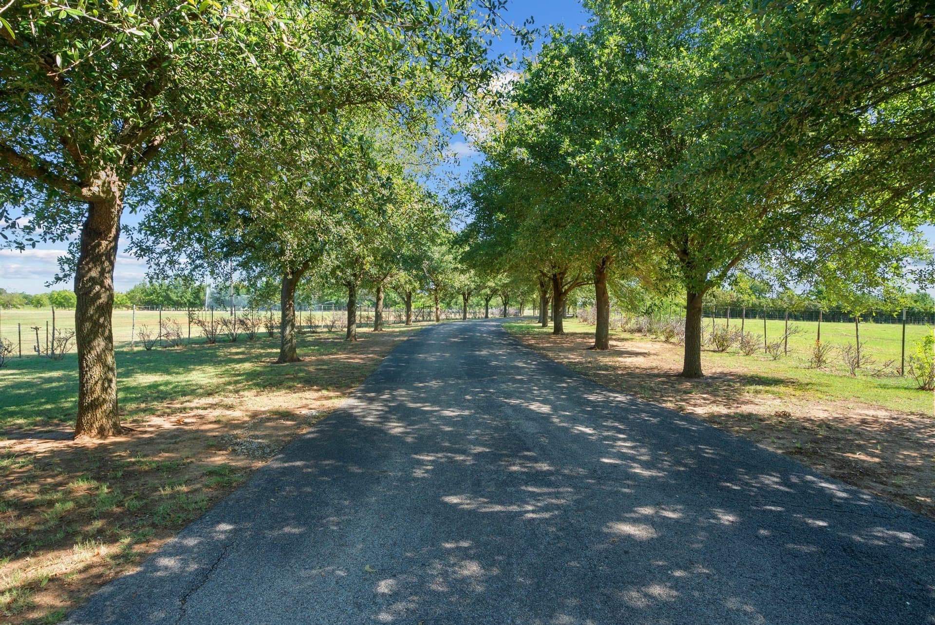 162.56 acres in Erath County - photo 8