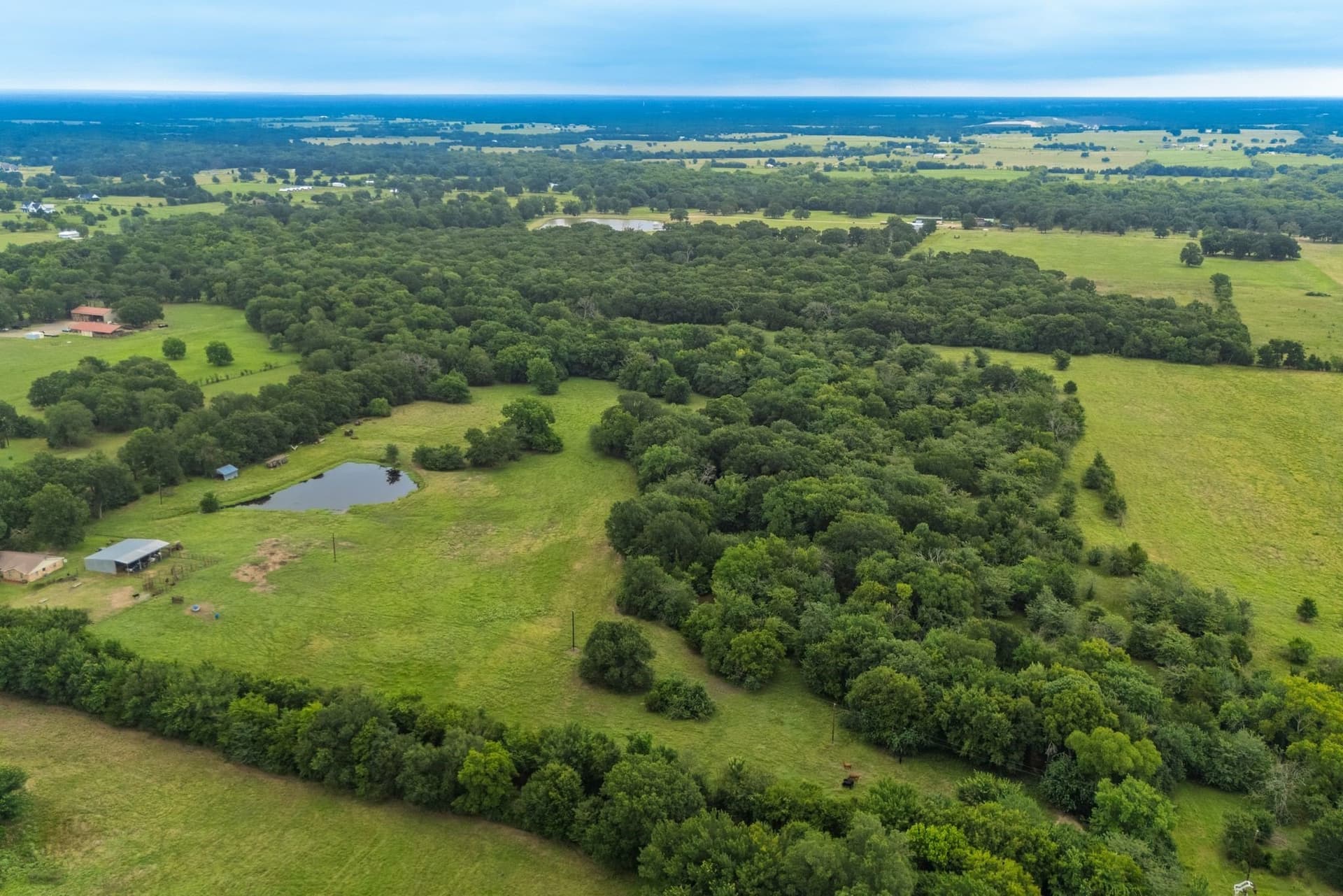 41 acres in Hunt County gallery image 3