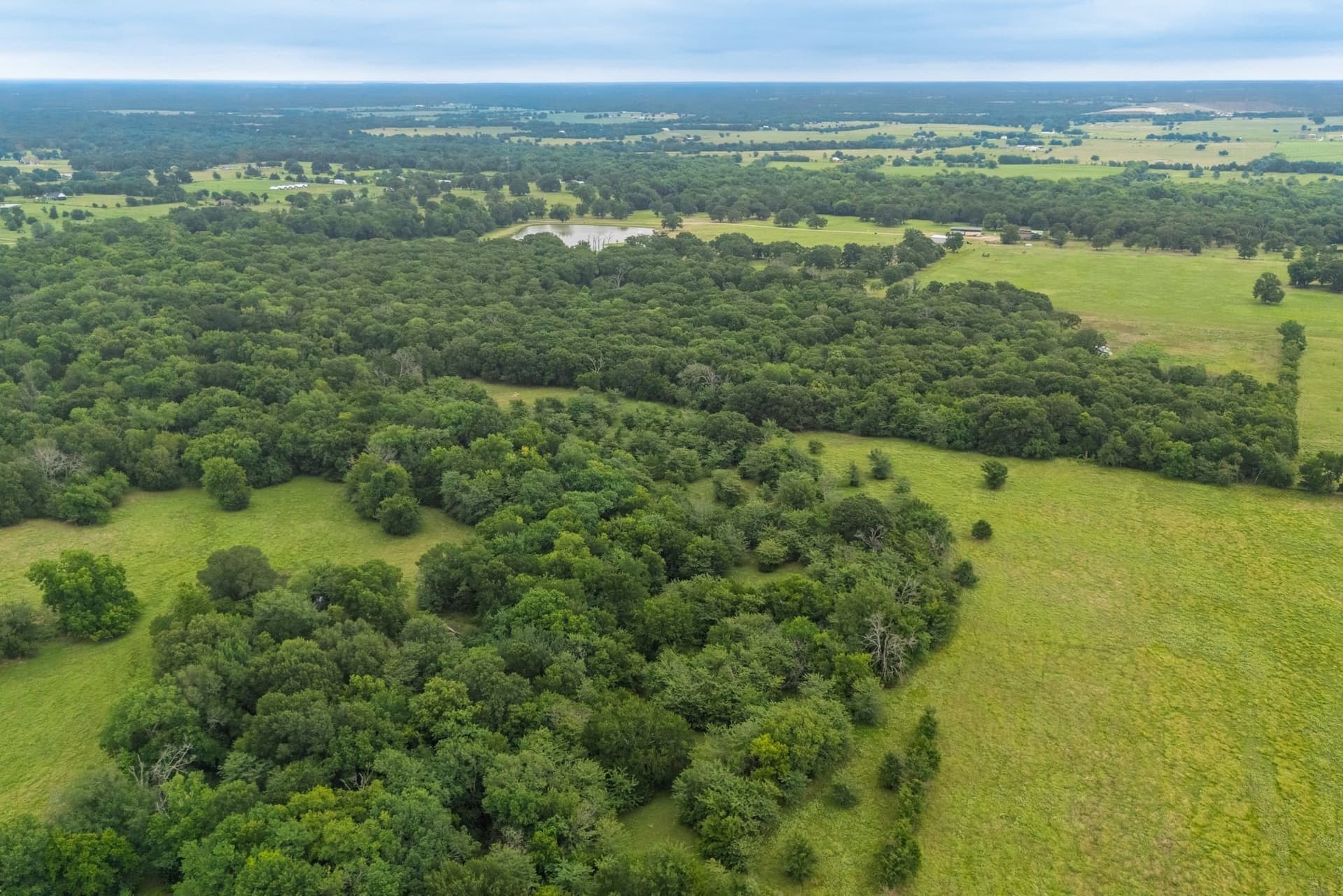 41 acres in Hunt County featured view