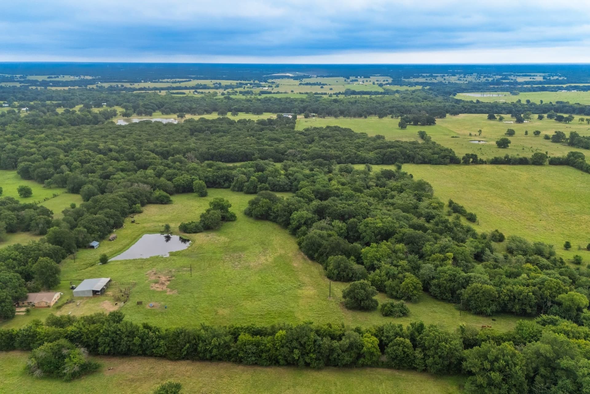 41 acres in Hunt County gallery image 2