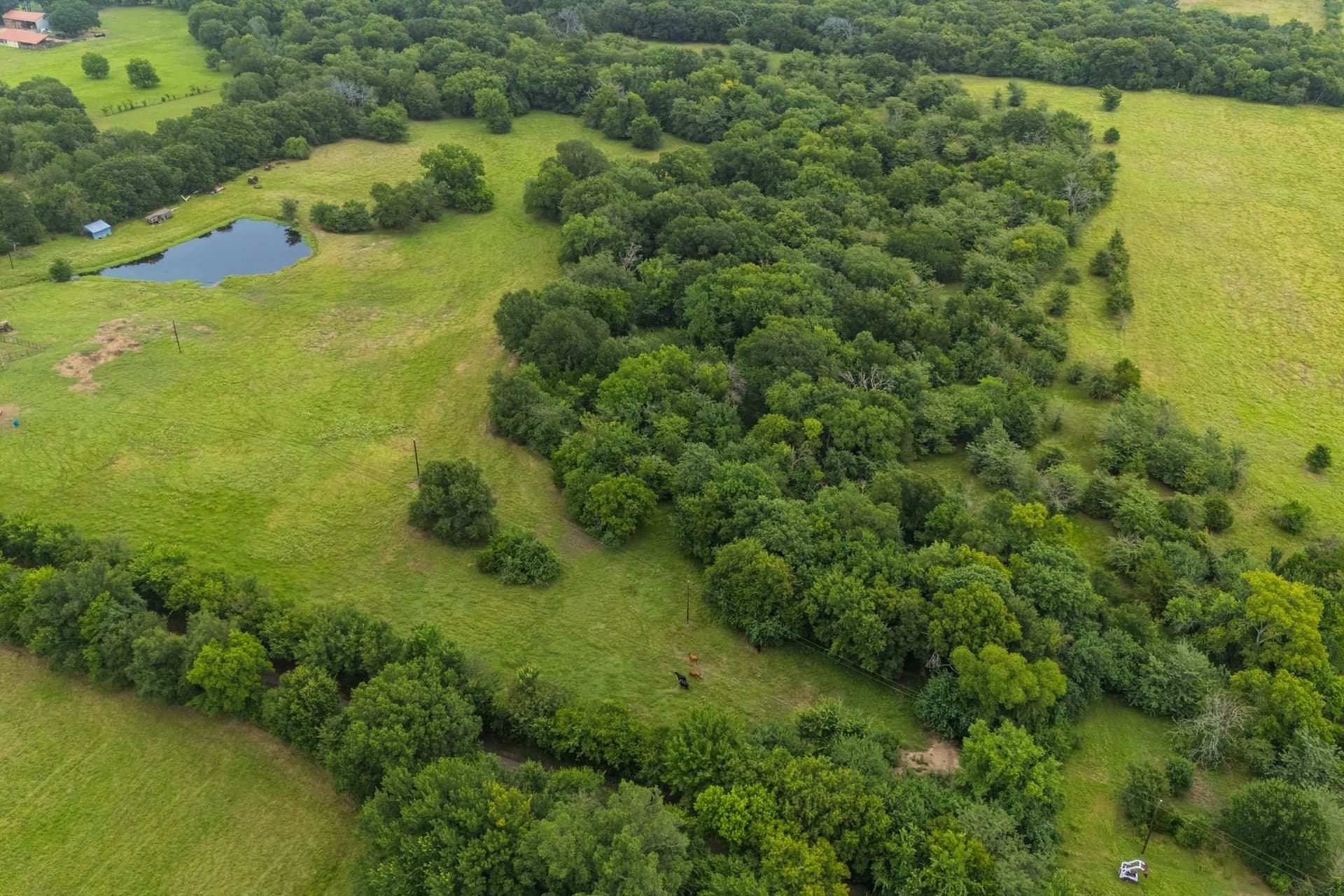 41 acres in Hunt County gallery image 4