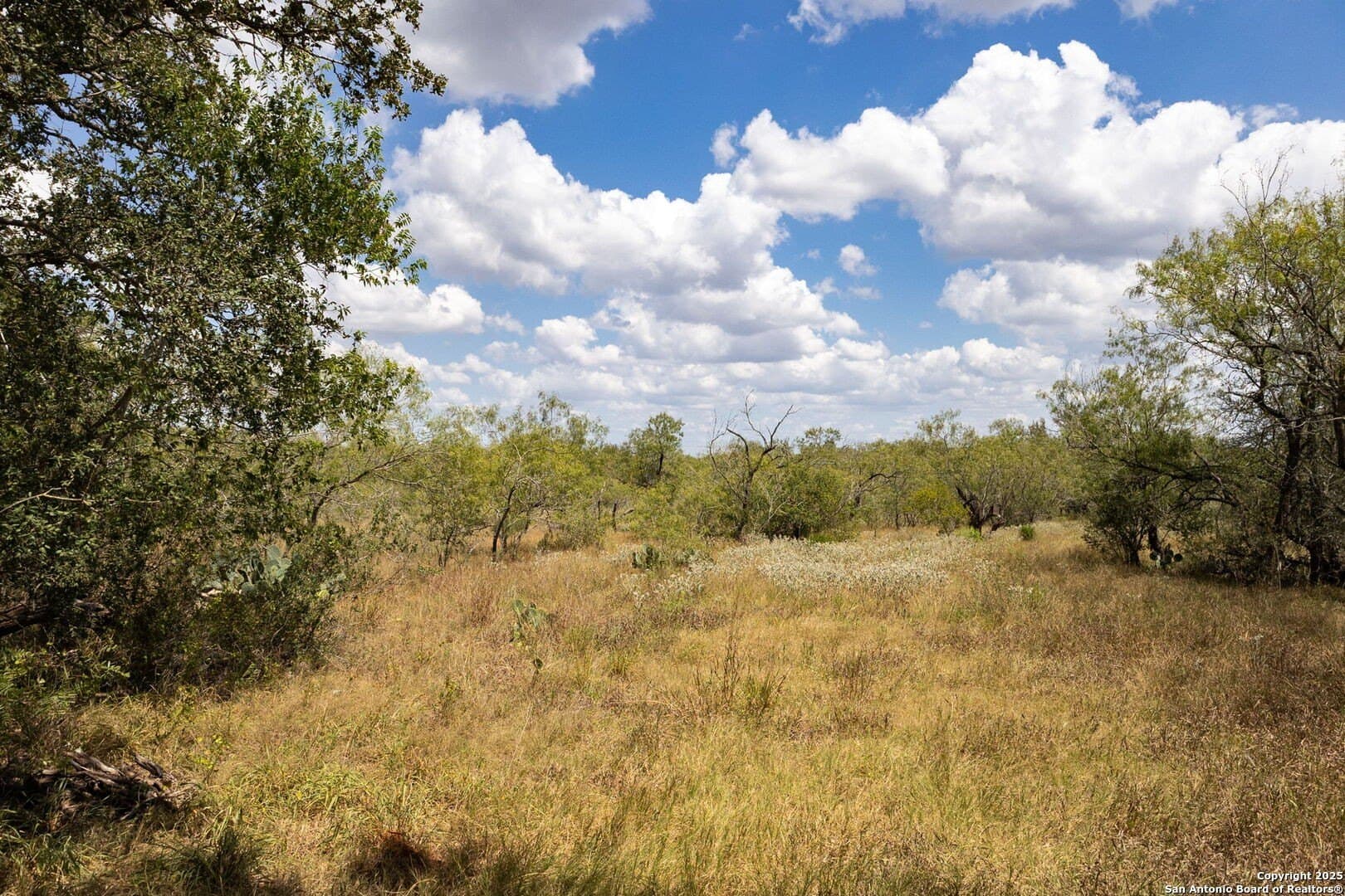 10.5 acres in Guadalupe County - photo 12