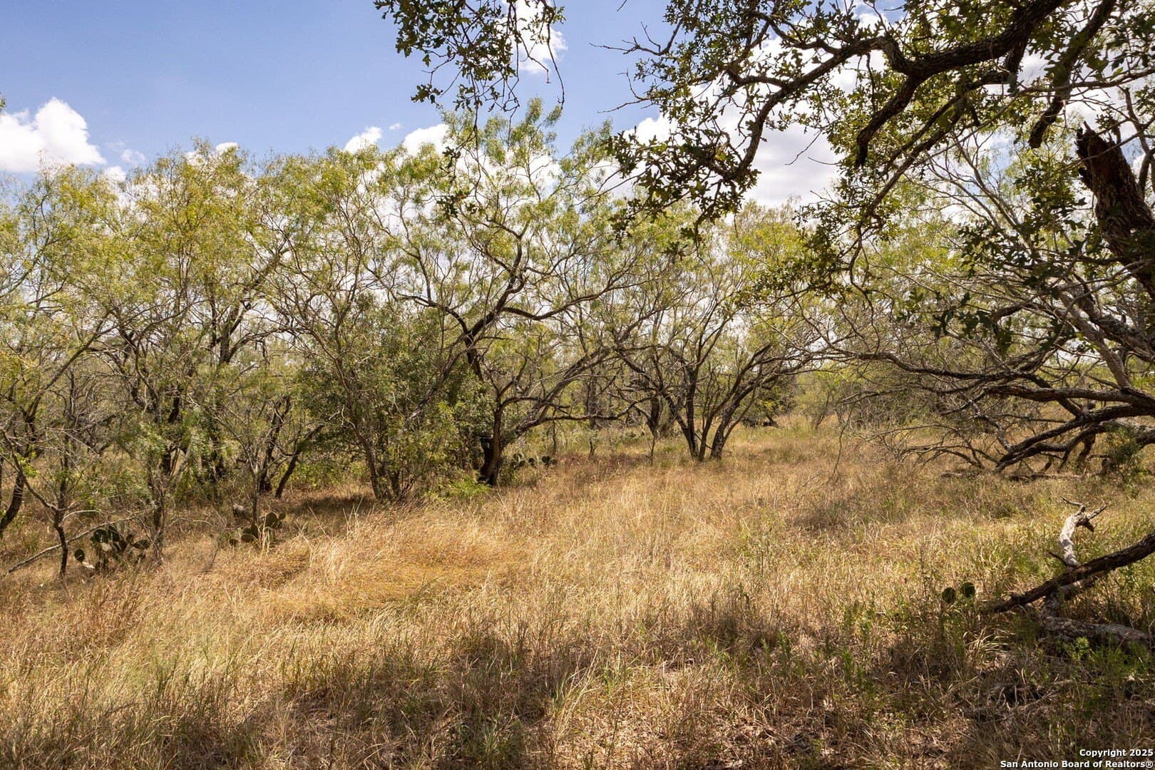 10.5 acres in Guadalupe County - photo 11