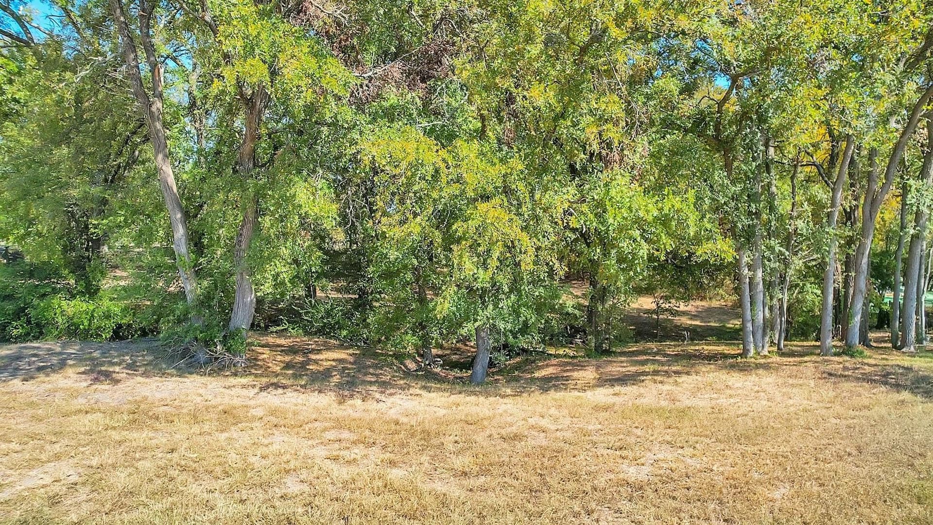 0.79 acres in Rockwall County gallery image 3