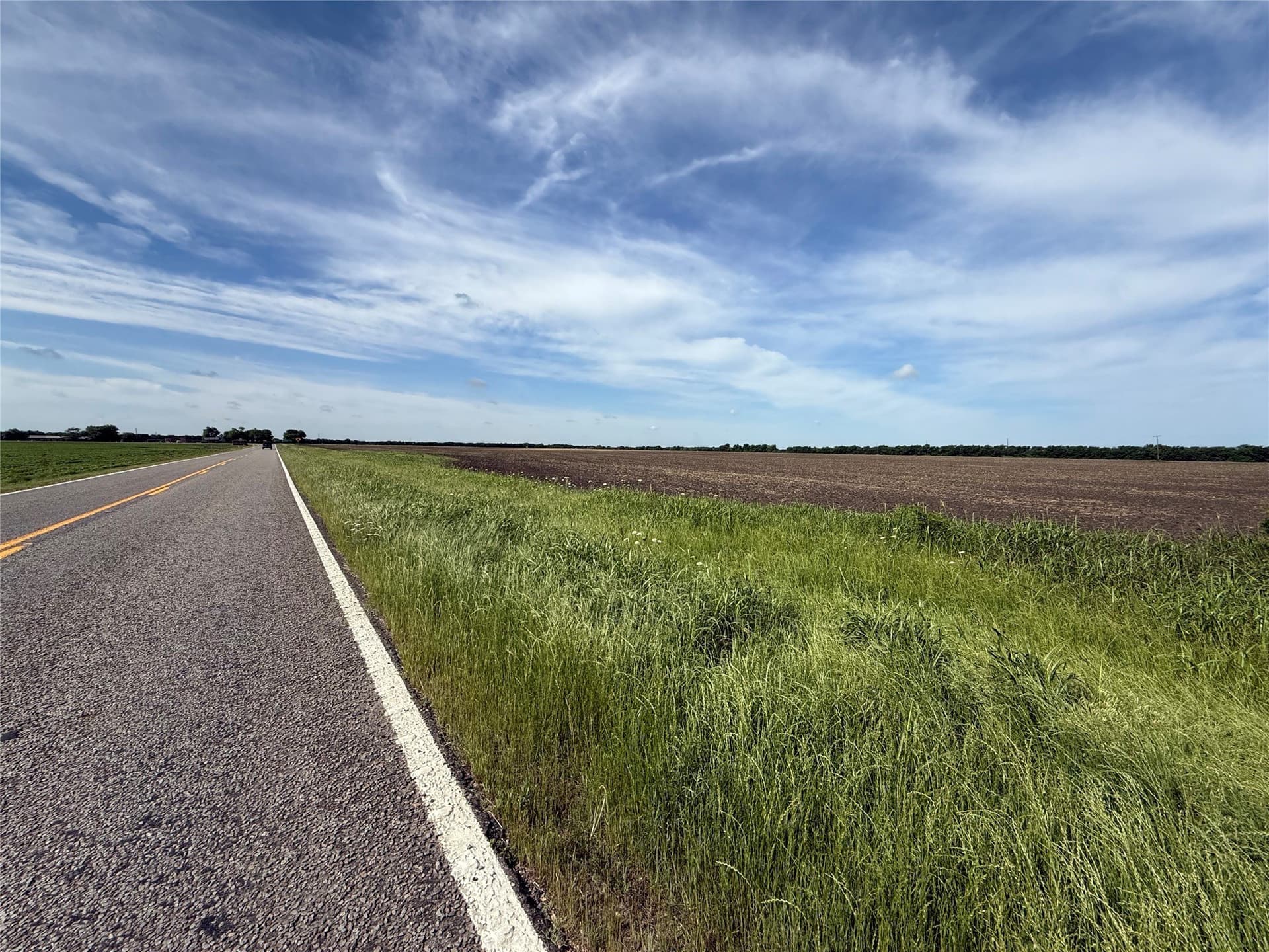 46.7 acres in Fannin County gallery image 3
