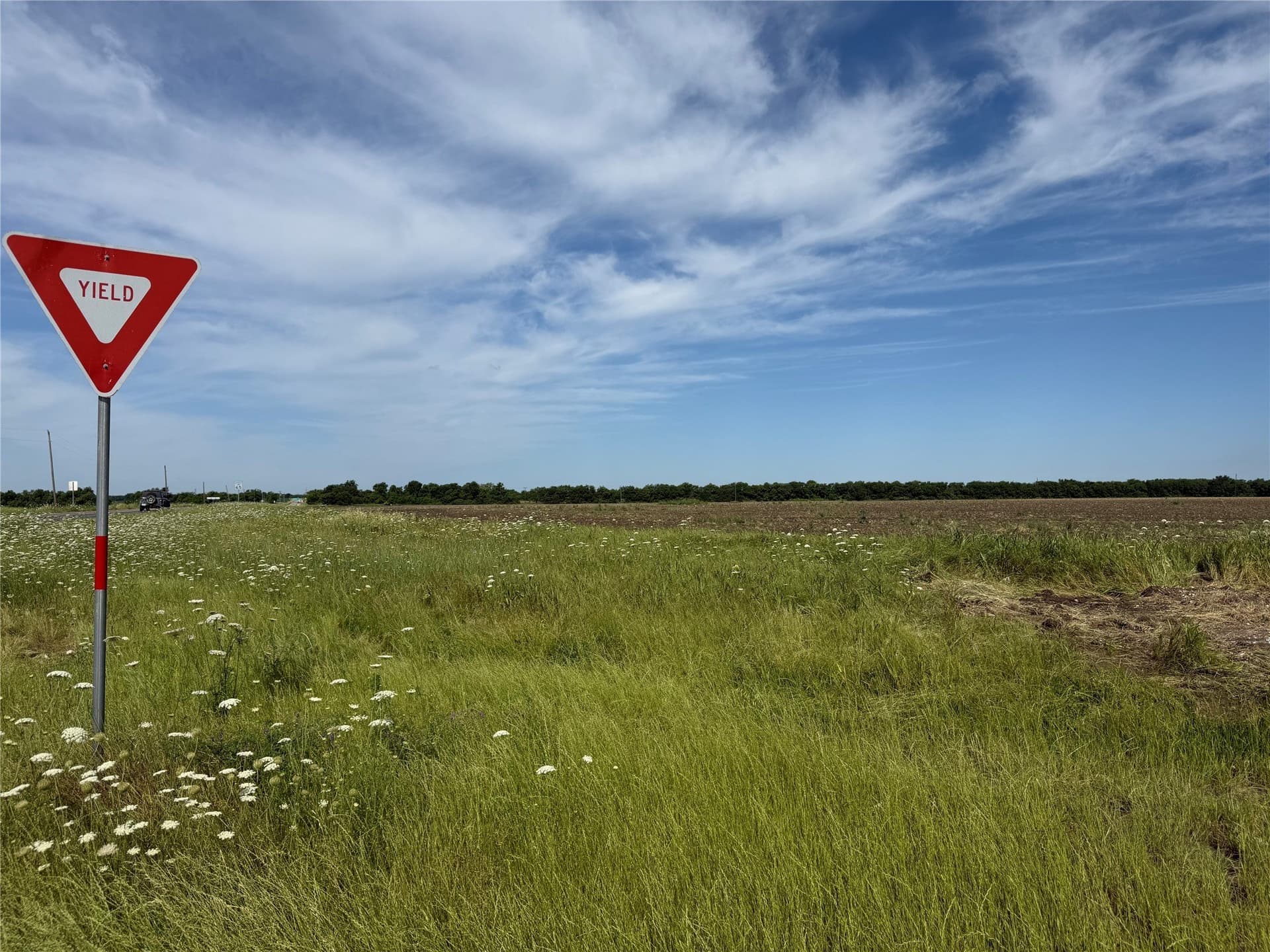 46.7 acres in Fannin County - photo 6
