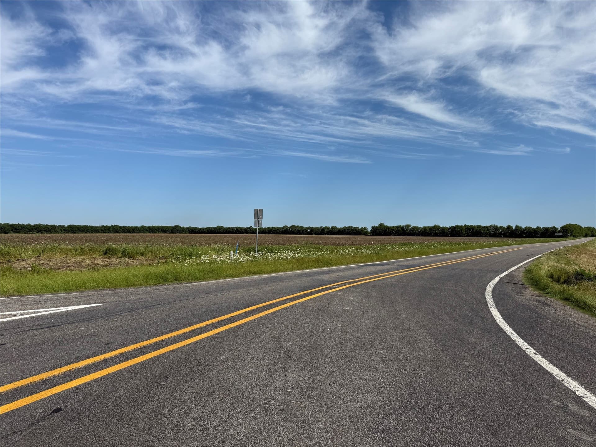46.7 acres in Fannin County gallery image 4