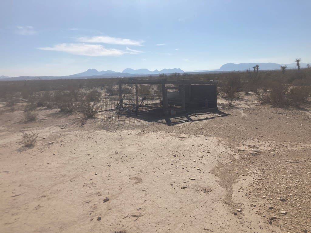 10 acres in Brewster County - photo 11