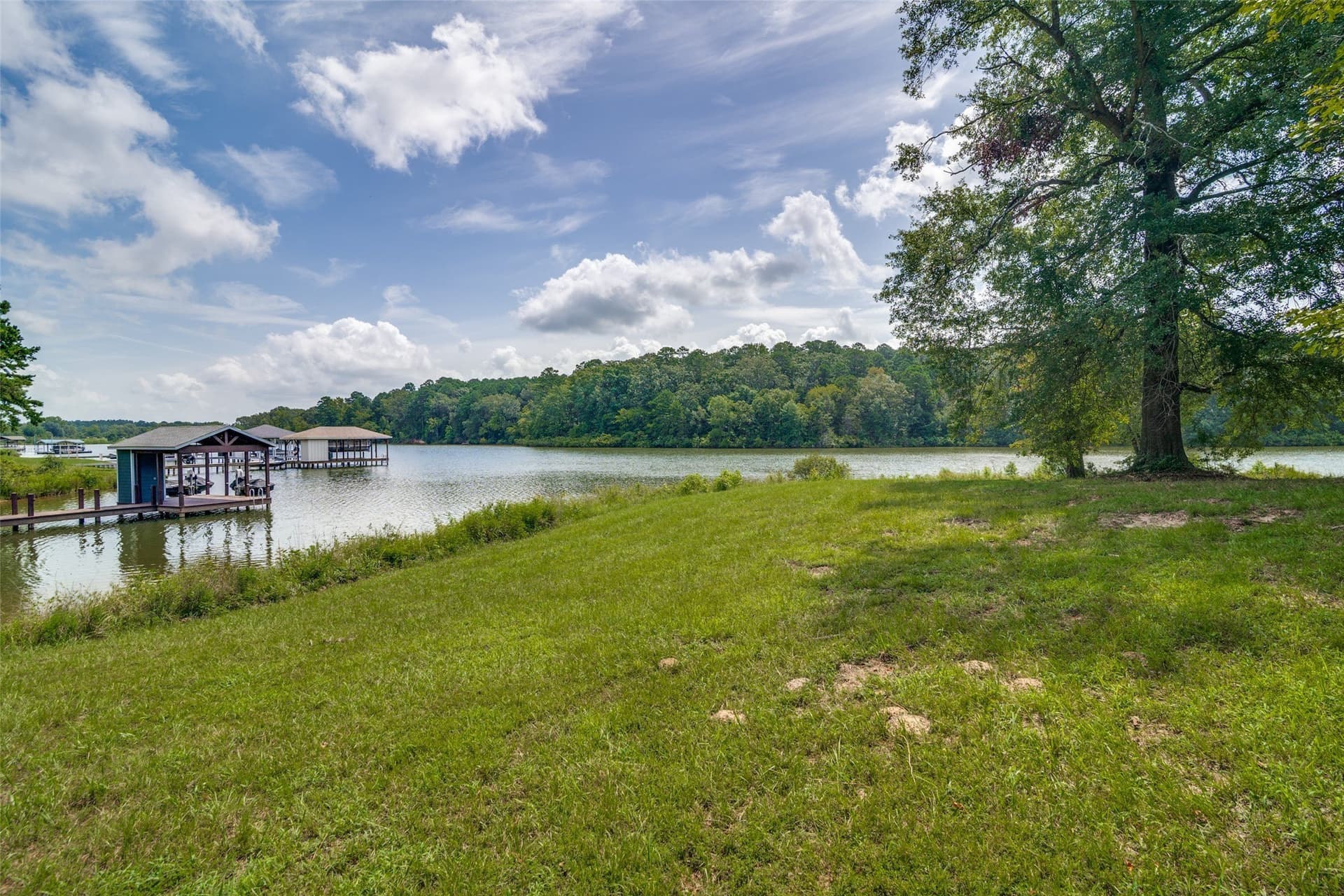 2.95 acres in Camp County gallery image 3