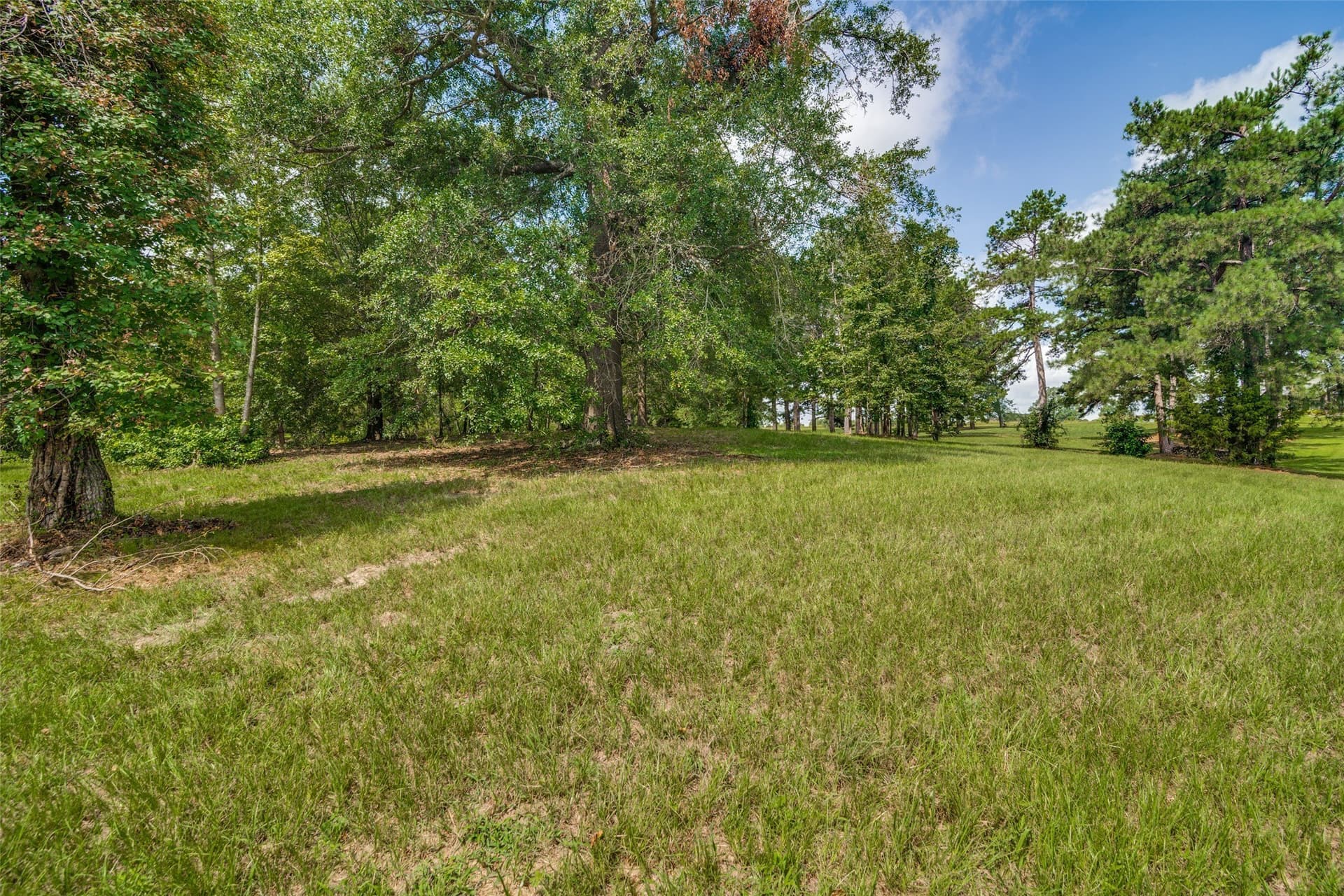 2.95 acres in Camp County - photo 9