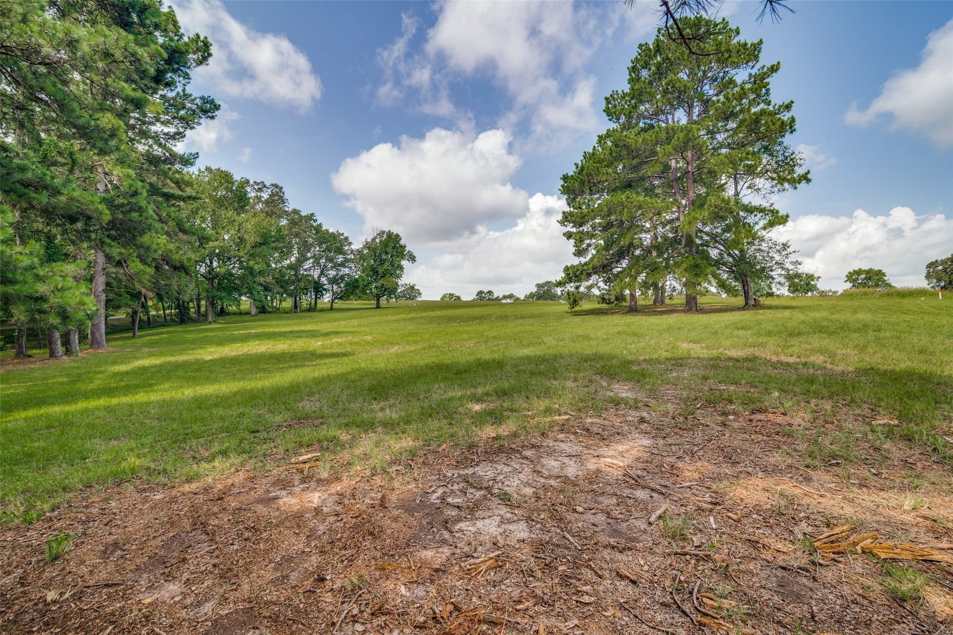 2.95 acres in Camp County - photo 10