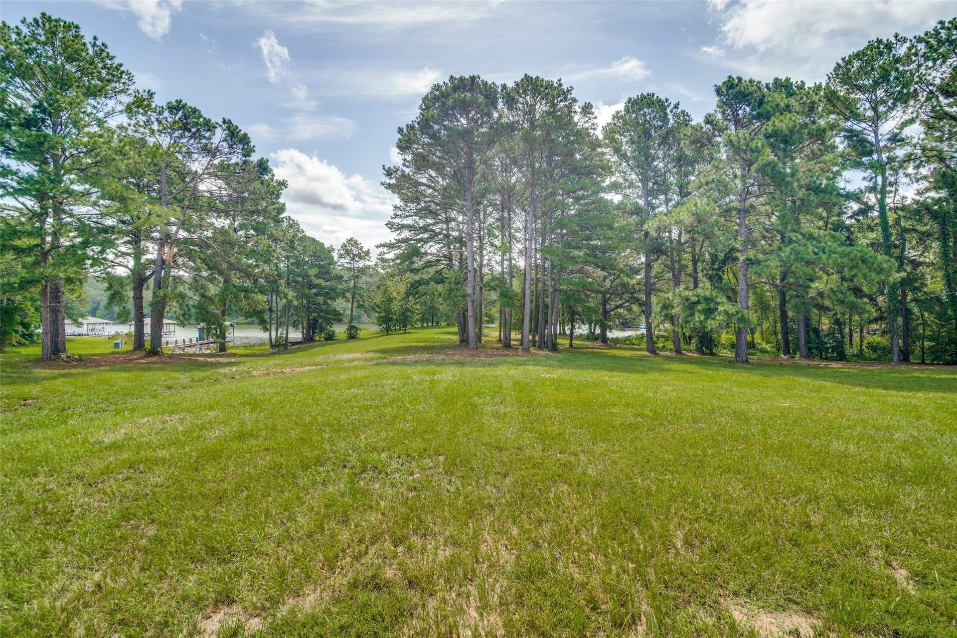 2.95 acres in Camp County gallery image 2