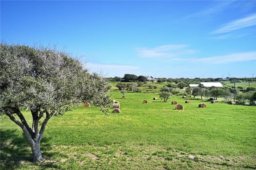 5.42 acres in San Patricio County gallery image 4