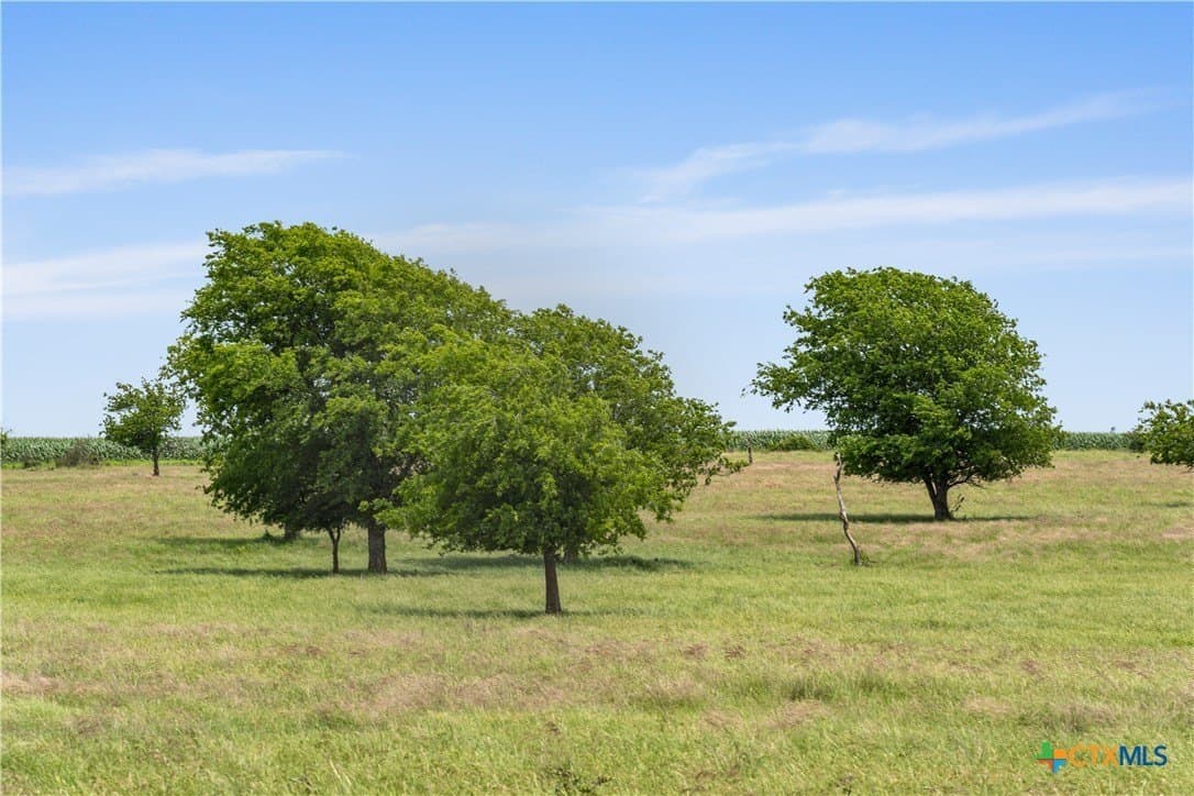 152 acres in Coryell County gallery image 4