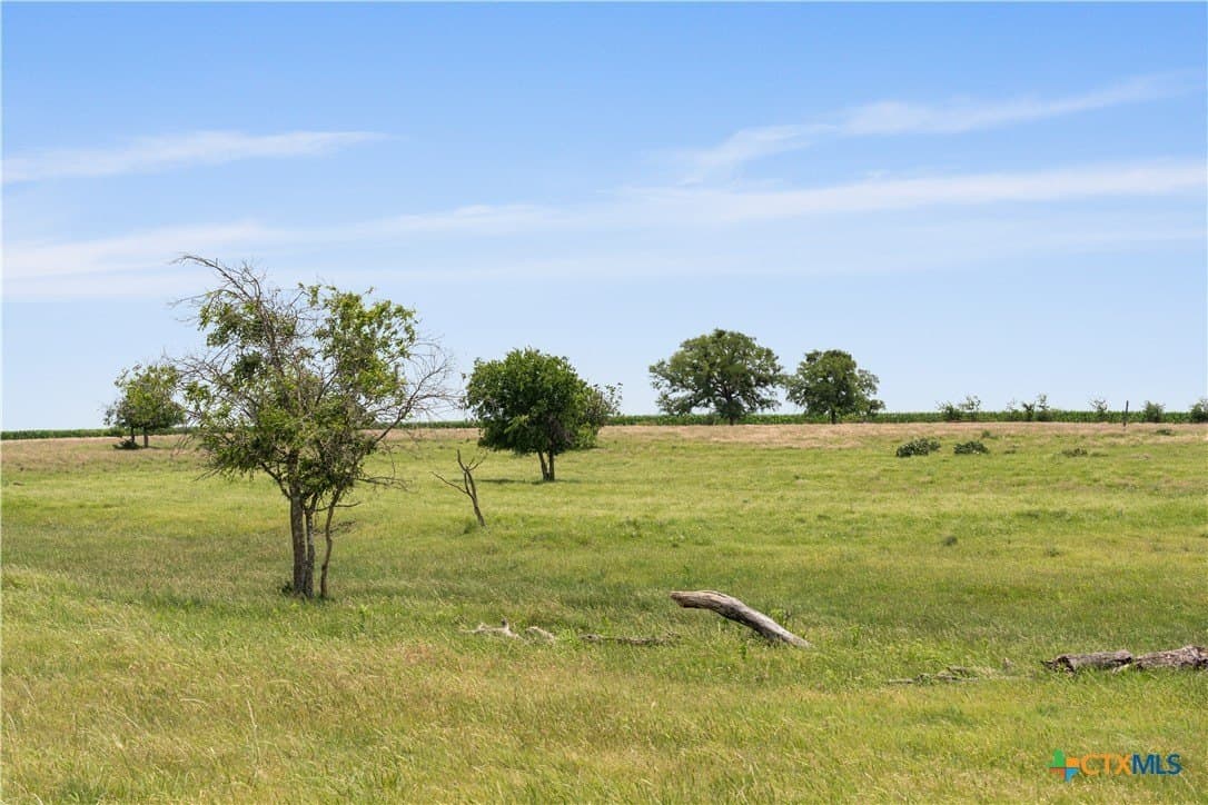 152 acres in Coryell County - photo 10