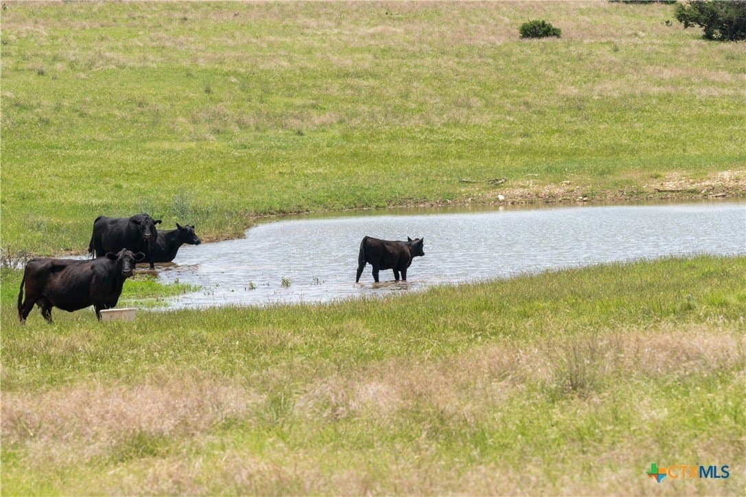 152 acres in Coryell County - photo 6