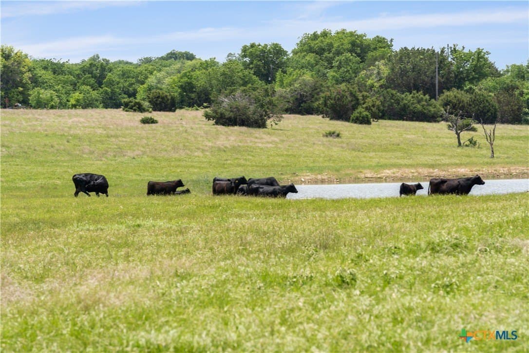 152 acres in Coryell County featured view