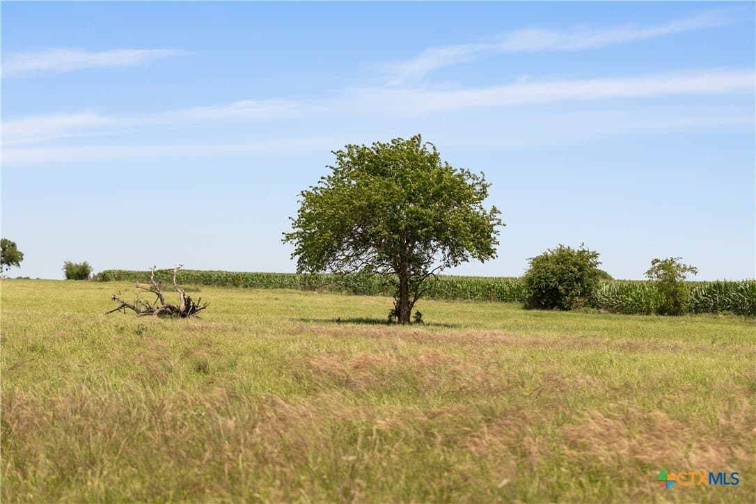 152 acres in Coryell County - photo 17