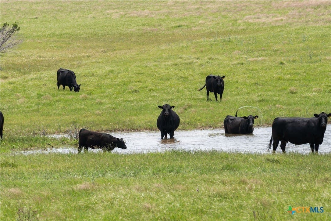 152 acres in Coryell County - photo 7