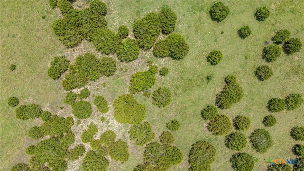 152 acres in Coryell County - photo 31