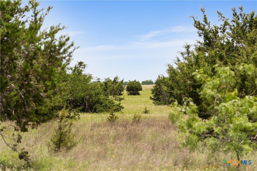 152 acres in Coryell County - photo 28