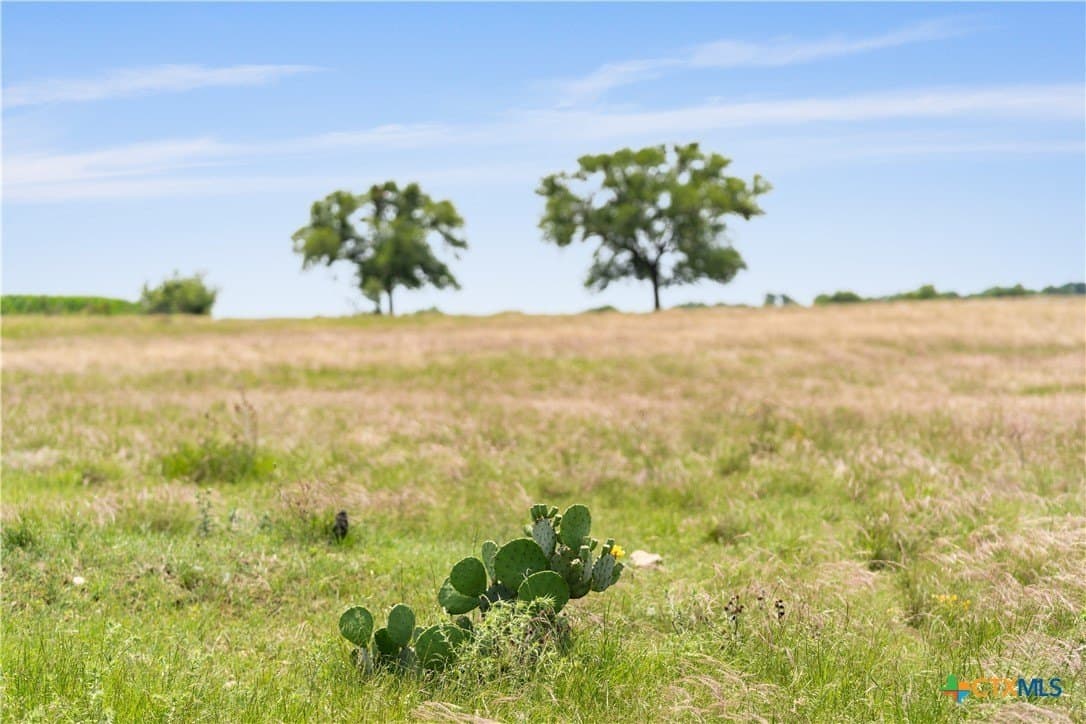 152 acres in Coryell County - photo 21