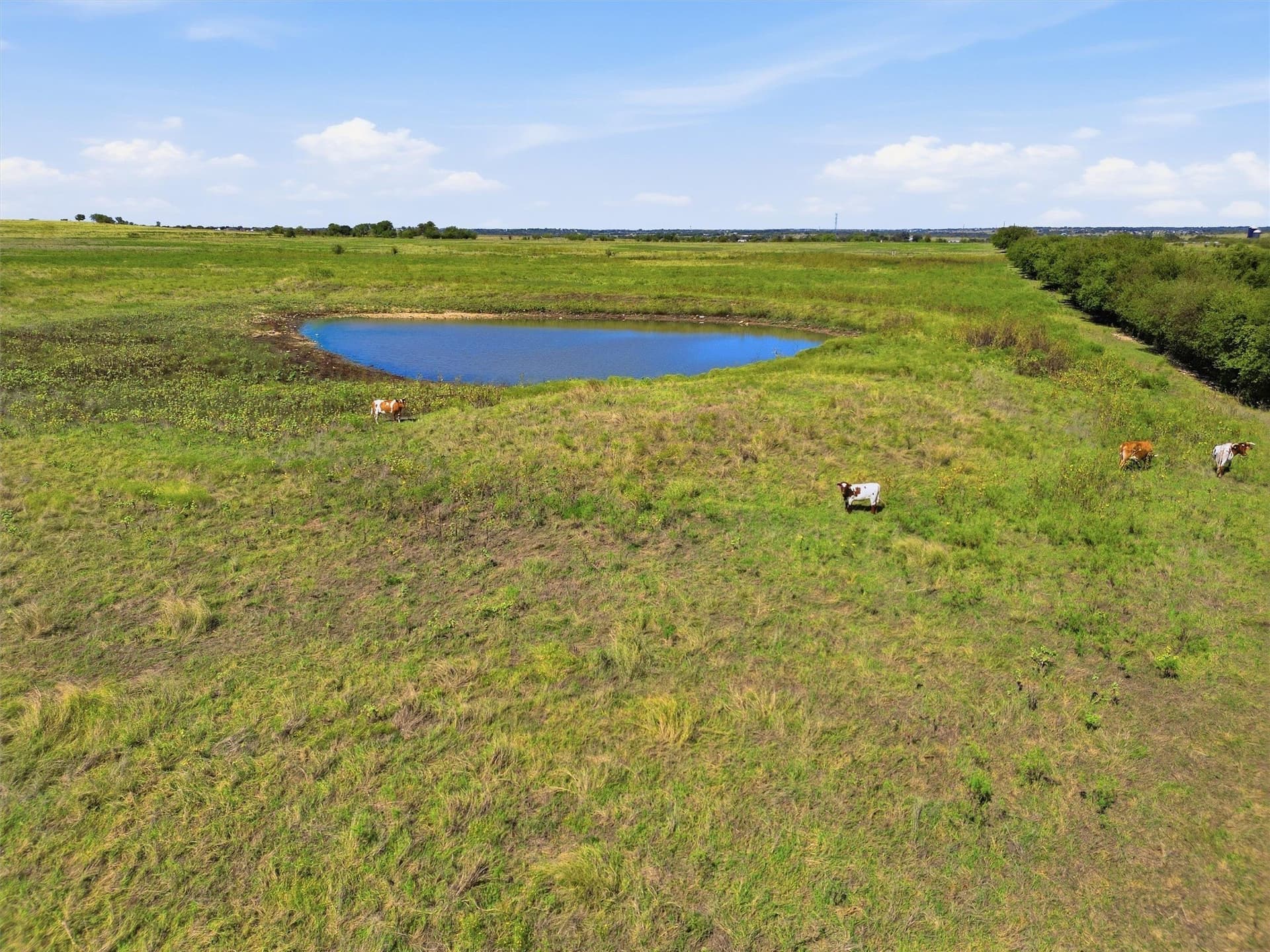 14.98 acres in Johnson County - photo 8