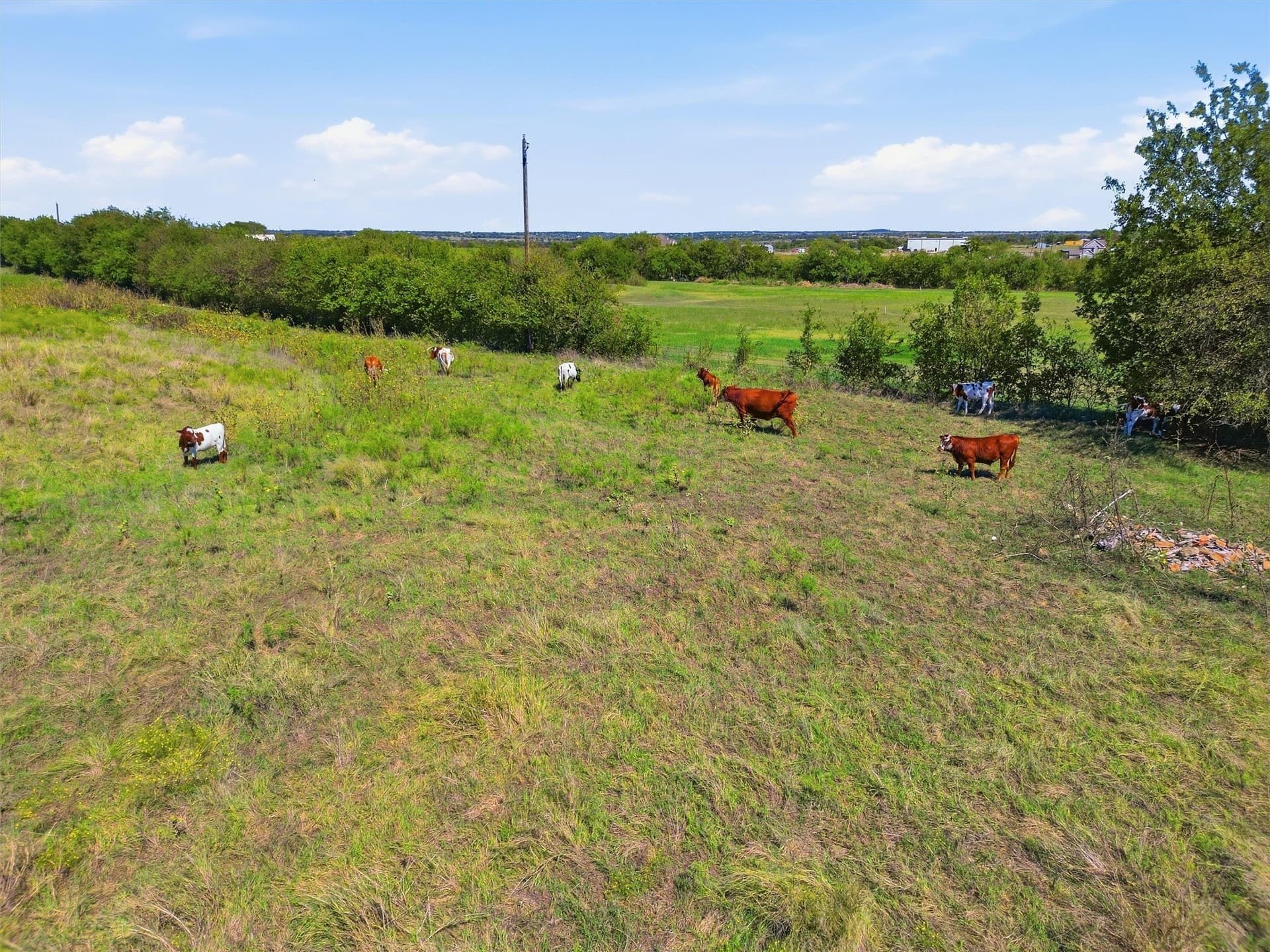 14.98 acres in Johnson County - photo 6