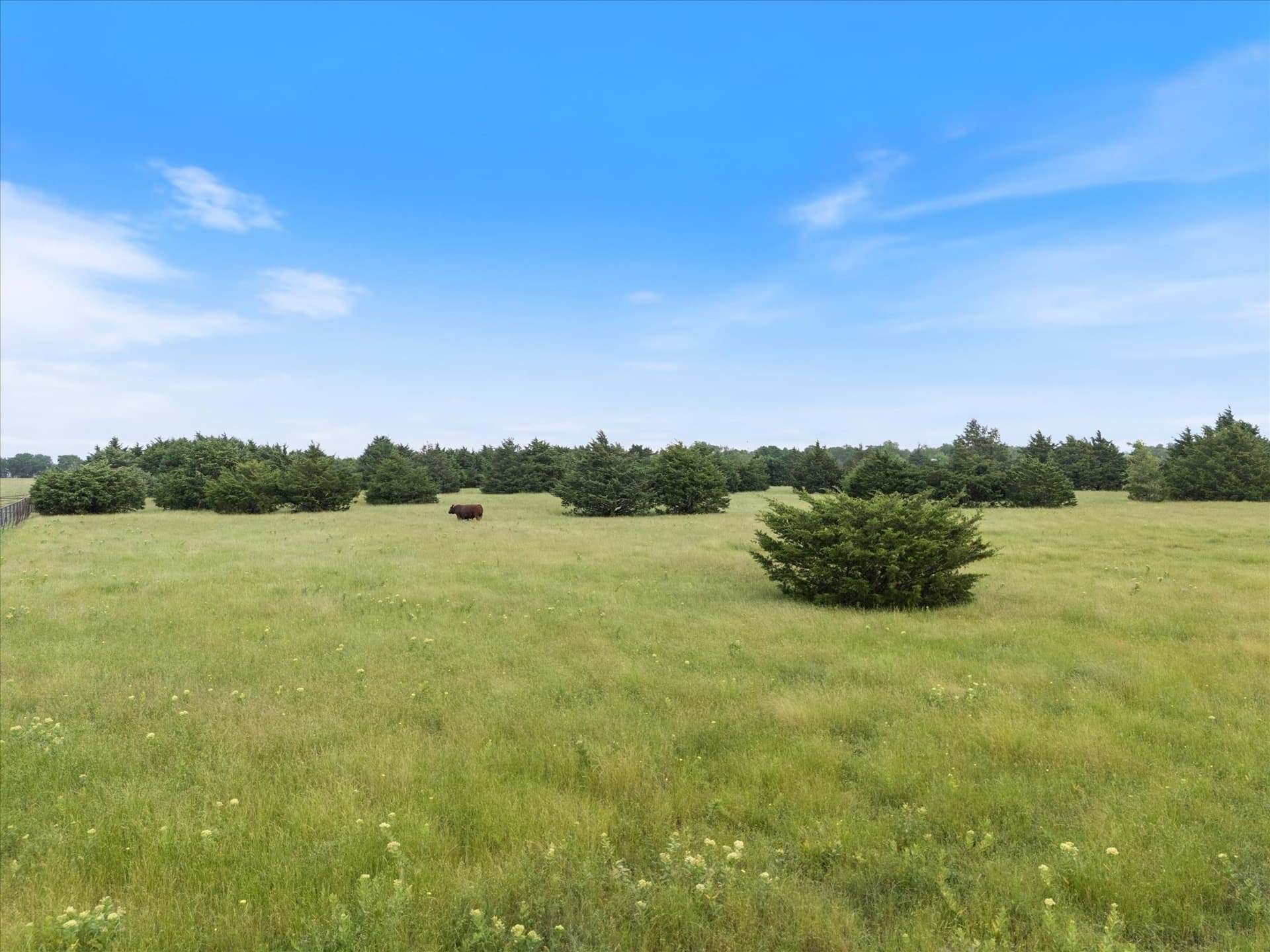 14.86 acres in Hunt County - photo 7