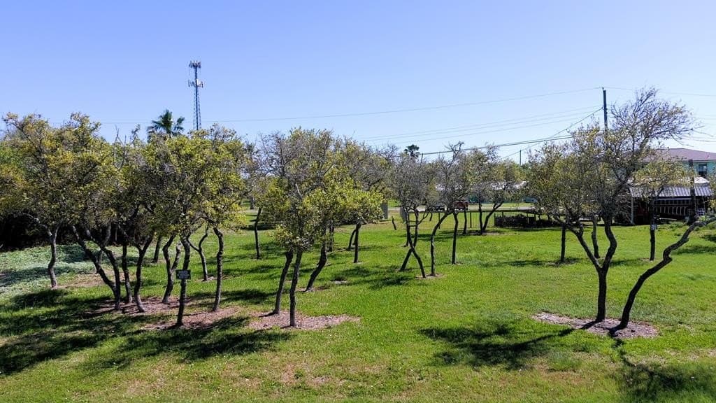 0 acres in Texas County