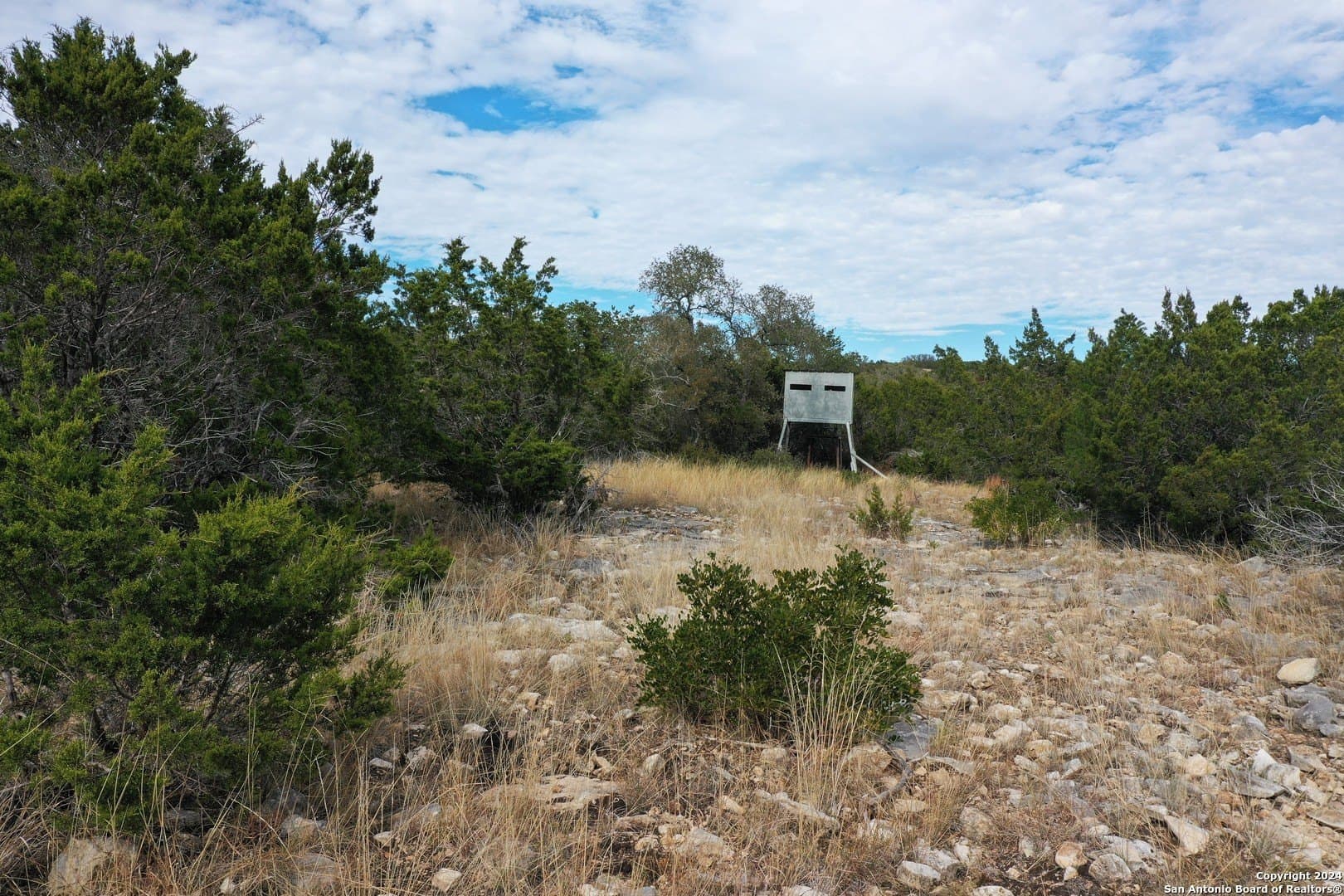 67.53 acres in Edwards County - photo 7