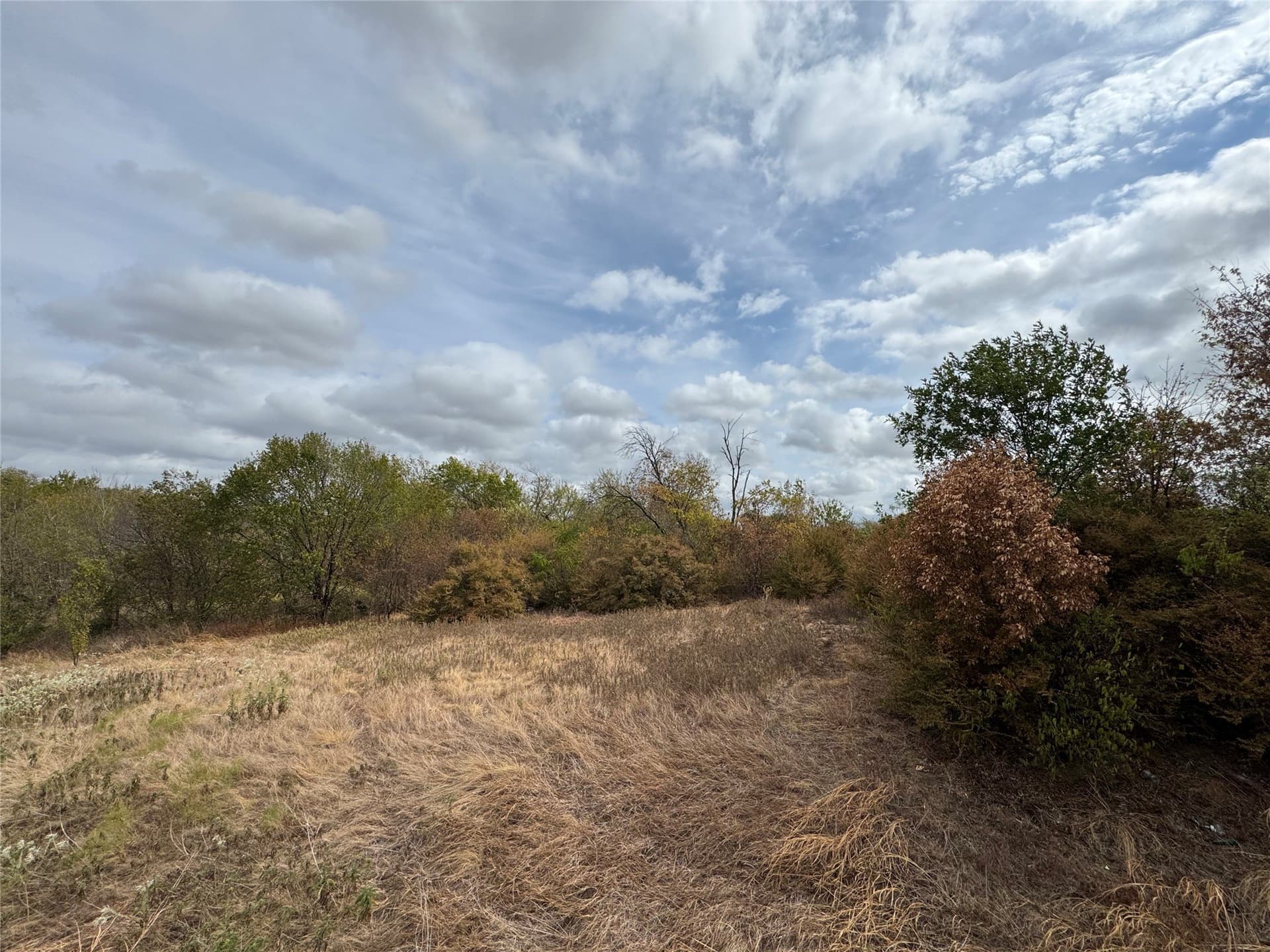 0.06 acres in Dallas County - photo 2