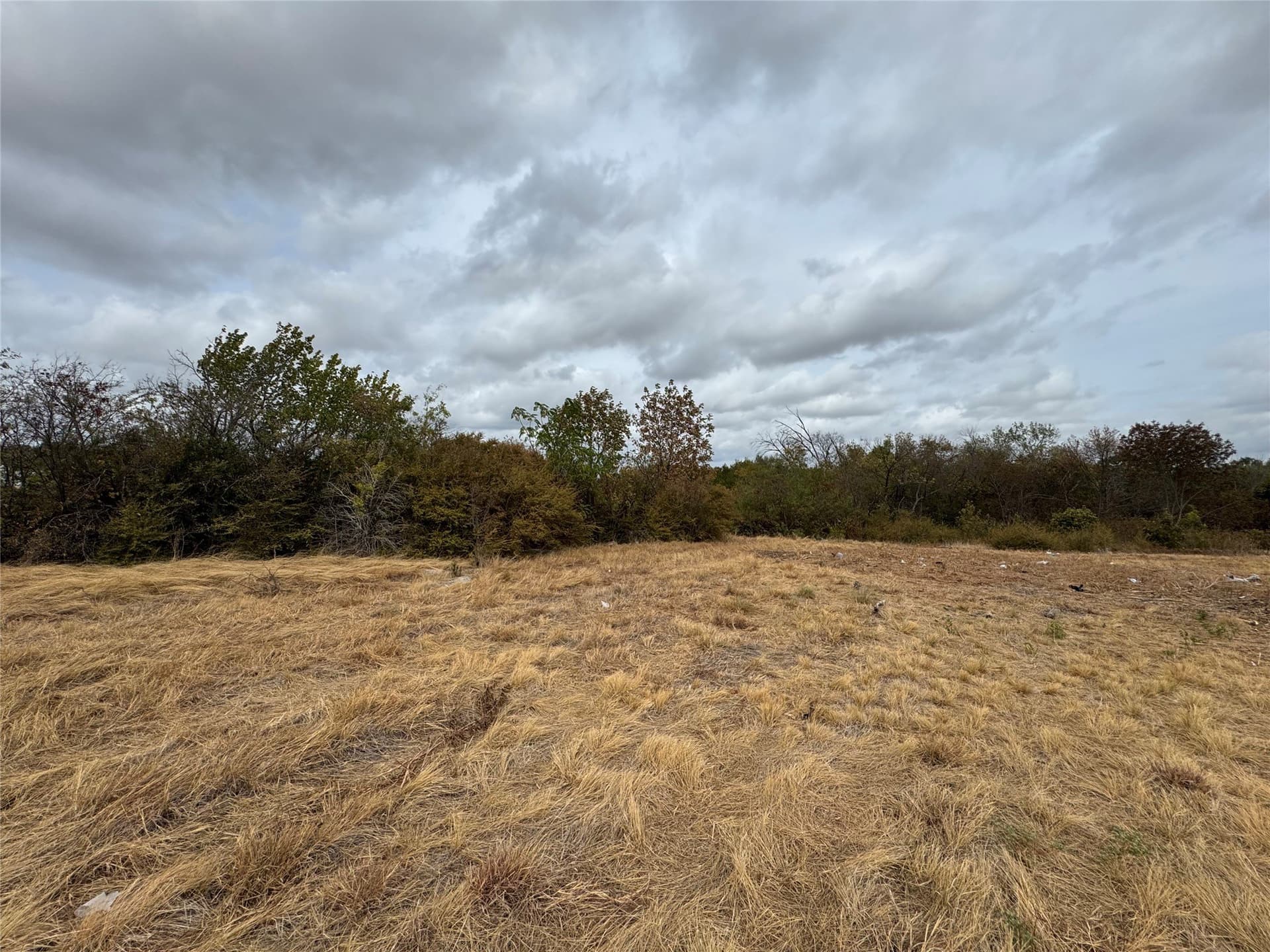 0.06 acres in Dallas County - photo 3