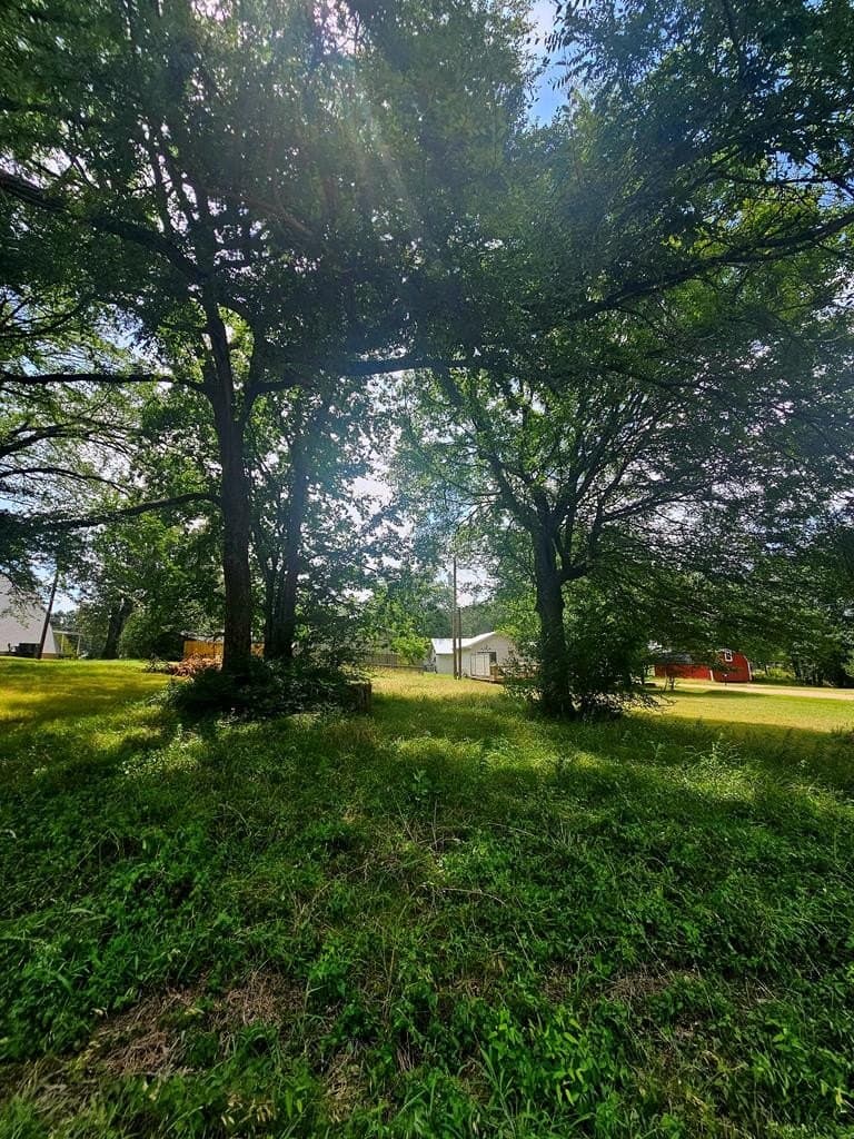 0.12 acres in Henderson County gallery image 2