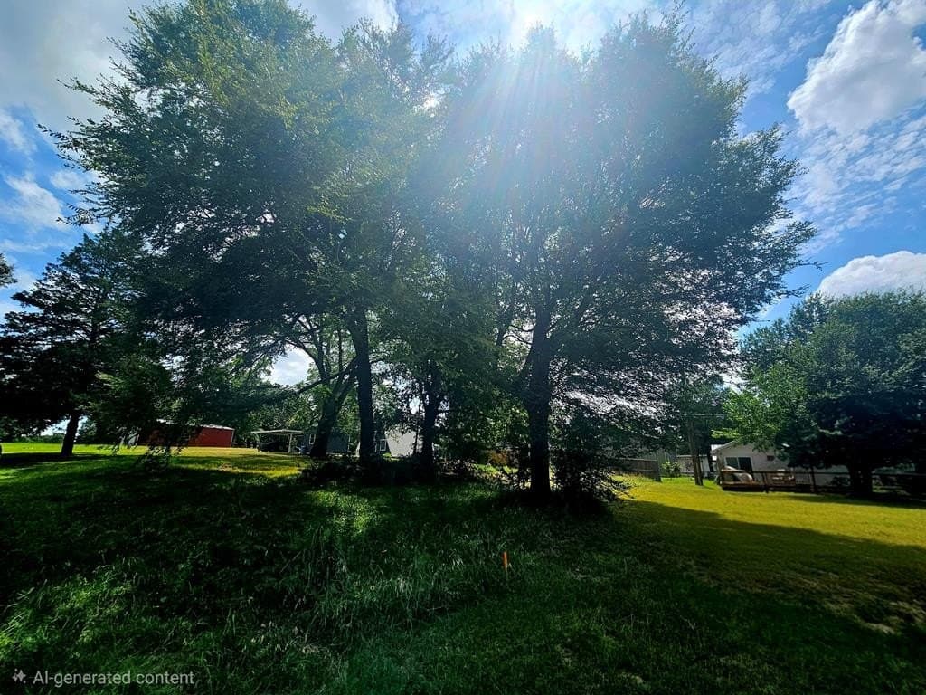 0.12 acres in Henderson County gallery image 4
