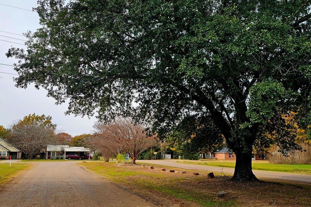 0.12 acres in Henderson County featured view