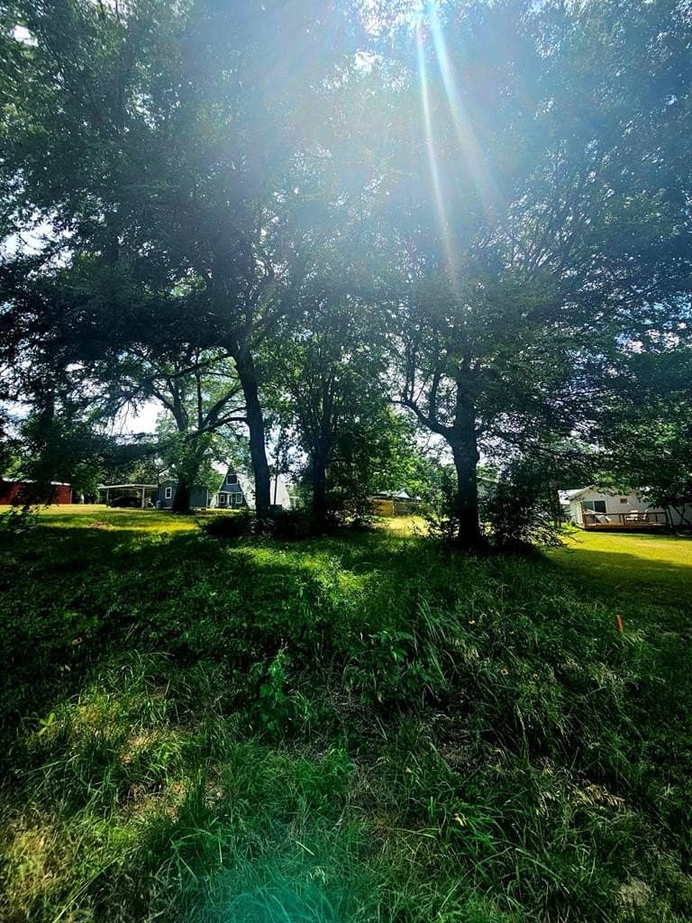0.12 acres in Henderson County gallery image 3