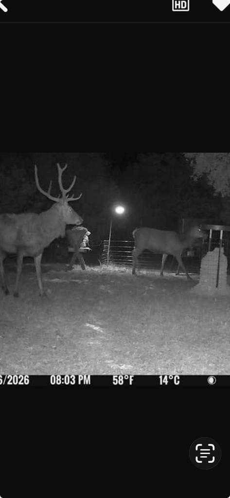 30.19 acres in Kerr County - photo 66