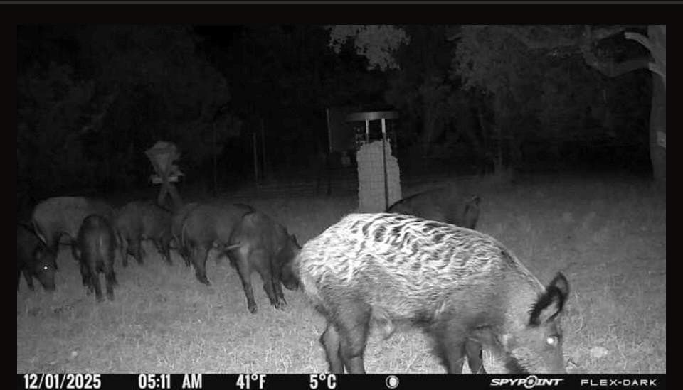 30.19 acres in Kerr County - photo 59