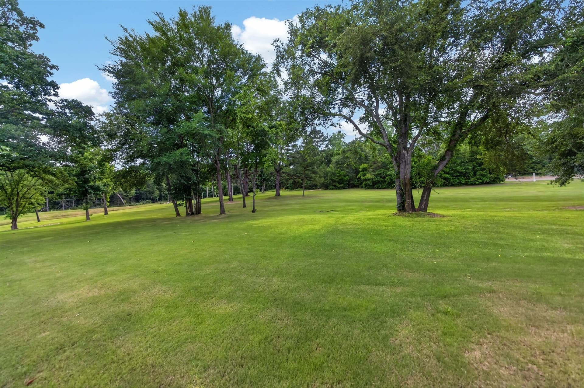 14 acres in Smith County - photo 31