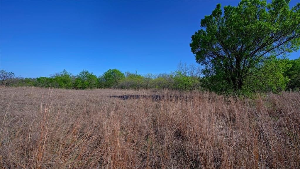 5.32 acres in Montague County gallery image 3