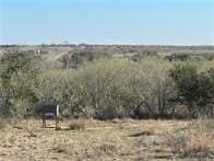 10.38 acres in Live Oak County - photo 8
