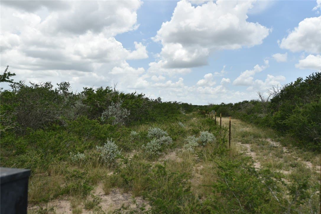 10.38 acres in Live Oak County - photo 15