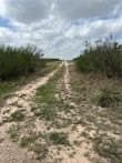 10.38 acres in Live Oak County