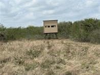 10.38 acres in Live Oak County gallery image 4