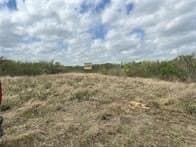 10.38 acres in Live Oak County featured view