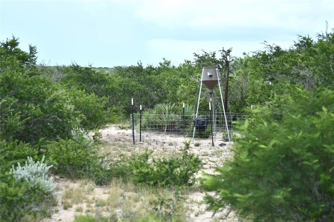 10.38 acres in Live Oak County - photo 13